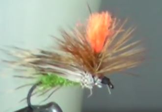 Sedge chevreuil parachute